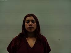 Mugshot of RODRIGUEZ LOPERENA AMERICA YARETHZI