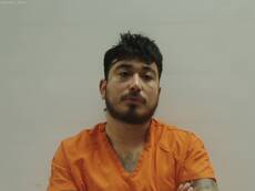 Mugshot of RAMIREZ ISRAEL ANTONIO