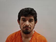 Mugshot of RANGEL SERGIO