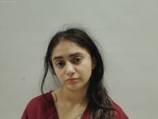 Mugshot of PUENTE BRIANA