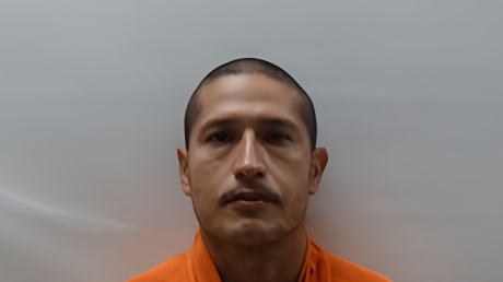 Mugshot of CASTRO JAIME