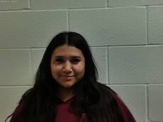 Mugshot of Martinez Iliana
