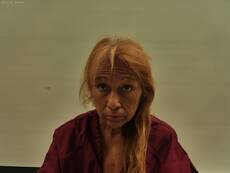 Mugshot of ARAIZA SALINAS LILIANA