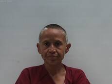 Mugshot of LUCIO MELISSA ANN