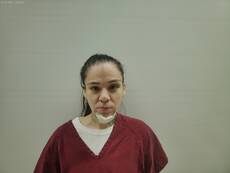 Mugshot of DIAZ STORMI MARIE