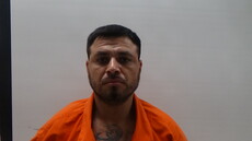 Mugshot of IBARRA IRVING