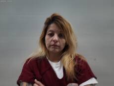 Mugshot of MARTINEZ SHANNON NICOLE