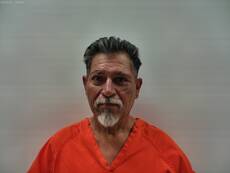 Mugshot of LARA FILAMIR