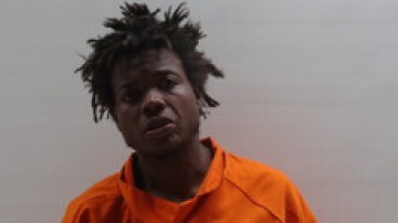 Mugshot of Guillian Milton