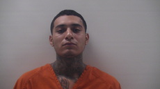Mugshot of MERAZ CARLOS