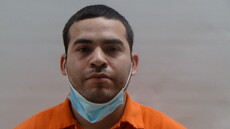 Mugshot of ALVEAR PORFIRIO JR