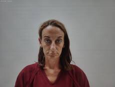 Mugshot of GILLILAND GINA