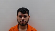 Mugshot of LOZANO DENILSON