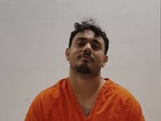 Mugshot of CASTRO DAVID