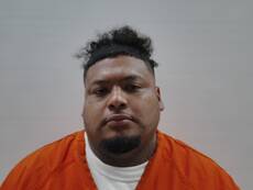 Mugshot of MIRANDA GABRIEL