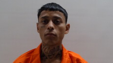 Mugshot of DE LA CRUZ FERNANDO