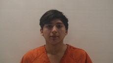 Mugshot of HERNANDEZ LOPEZ LUIS YANDEL