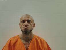 Mugshot of ALCALDE RICARDO