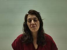 Mugshot of HERNANDEZ ANDRA LEE