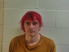 Mugshot of MCELWRATH SKYLER TARR