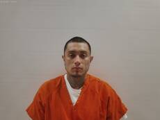 Mugshot of GAYTAN STEVEN