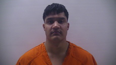 Mugshot of DE LA GARZA GUSTAVO