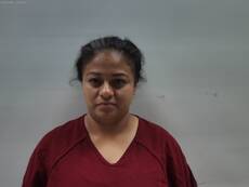 Mugshot of LOPEZ GARCIA MARIA ANGELICA