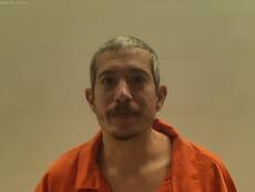 Mugshot of ORNELLAS ORLANDO JOSE