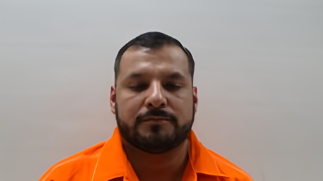 Mugshot of ALANIZ MAURO