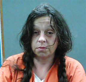 Mugshot of Wendy Renee Brian