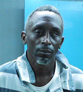 Mugshot of Courtney Dessheon Johnson