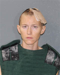 Mugshot of Allison Elizabeth French