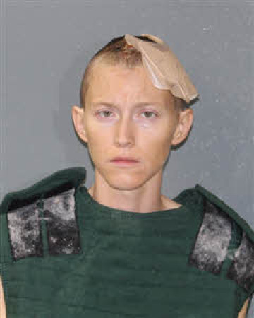 Mugshot of Allison Elizabeth French