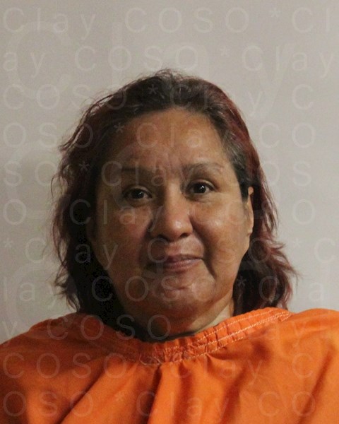 Mugshot of MICHELLE LEE HERNANDEZ