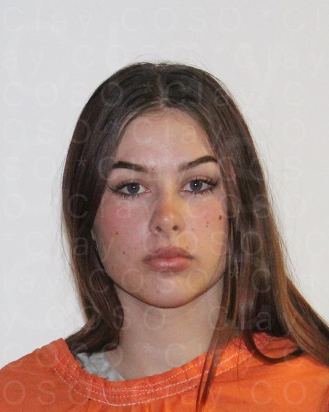 Mugshot of HEATHER MICHELLE DAVIS