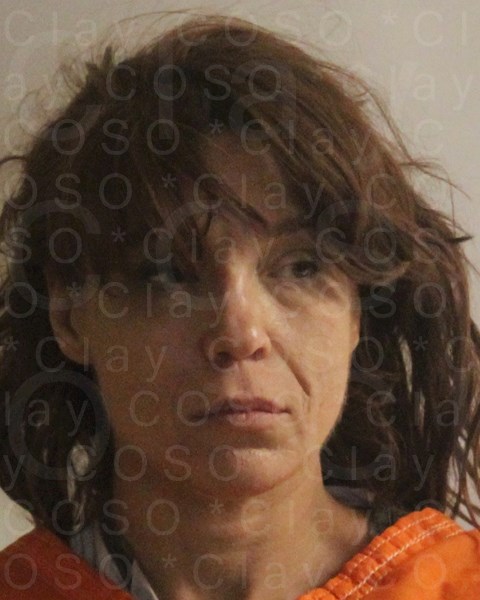 Mugshot of TRACEY LYNNETTE AHEE