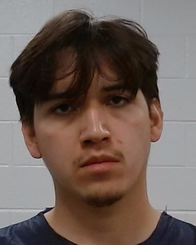 Mugshot of Marlin Joya Aleman