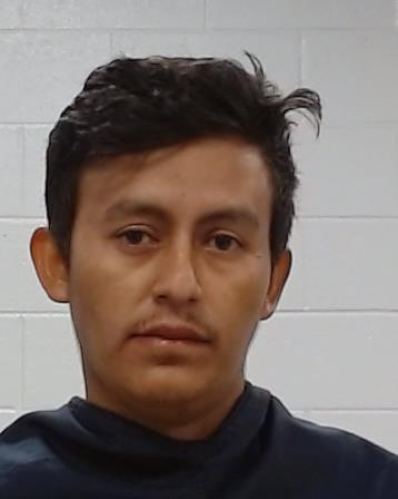 Mugshot of Darwin Jose Najarro Argueta