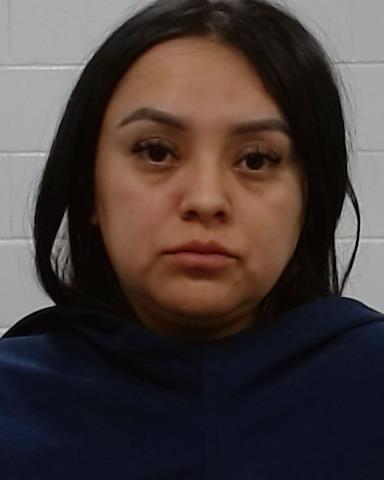 Mugshot of Andrea Irving