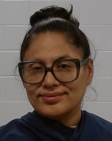 Mugshot of SAYDA M AYALA PINTO
