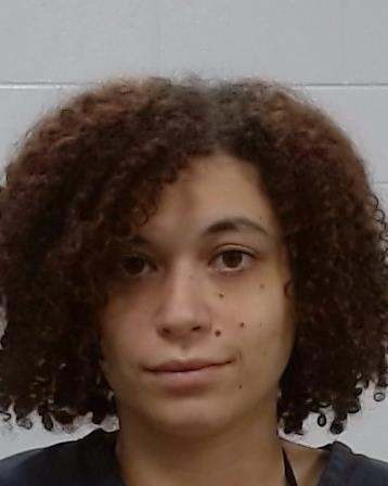 Mugshot of Vannessa Michelle Smith