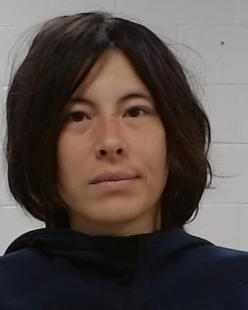 Mugshot of Kirsten Lynette Mitchell