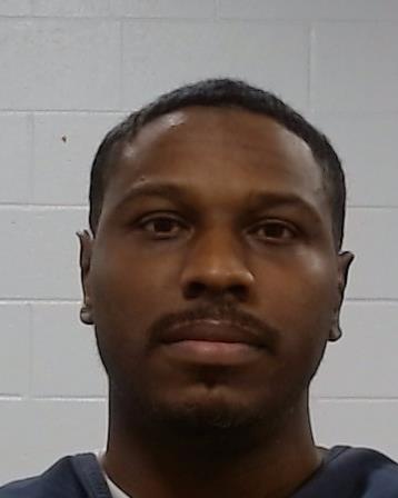 Mugshot of Brandon Lyn Ellison