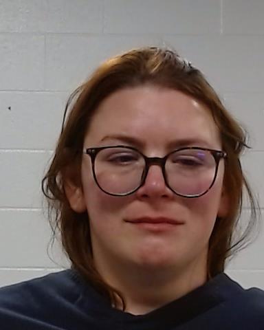 Mugshot of Elizabeth Anne Smith