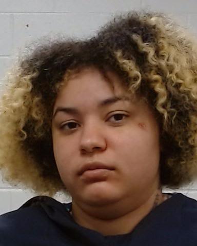Mugshot of Brianna Nicole Jewsome