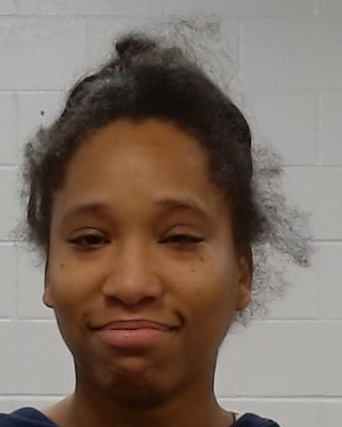Mugshot of Jamilla Jenkins