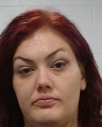 Mugshot of Erika Jean Robson