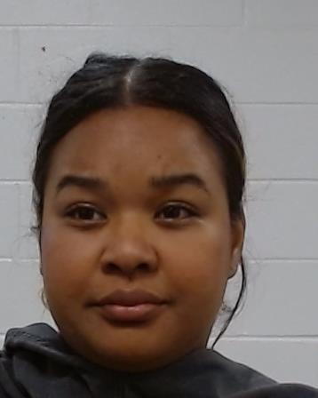 Mugshot of Kaylin Delpilar