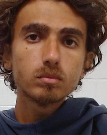 Mugshot of Tamer Michael Saleh