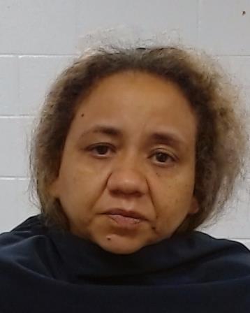 Mugshot of Brandy A Fields